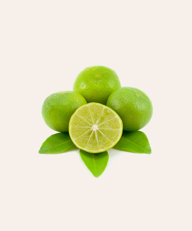 CHINESE CABBAGE - Image 3
