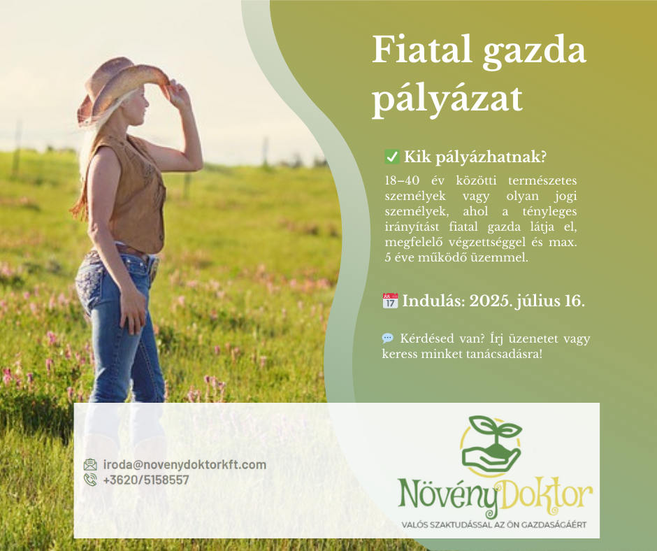 fiatal gazda pályázat