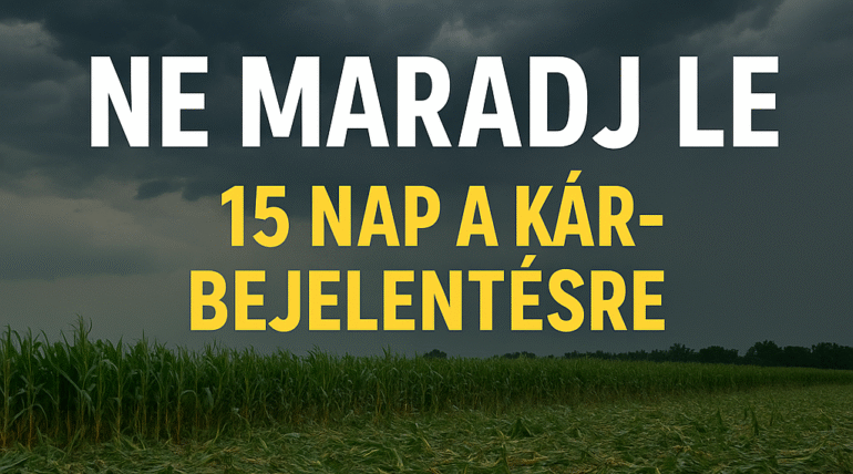 viharkár bejelentése