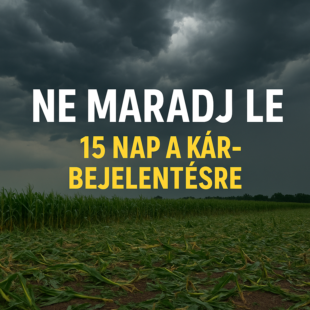 viharkár bejelentése