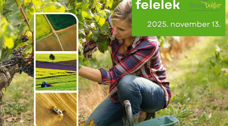 AKG kérdezz-felelek