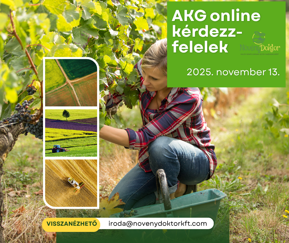 AKG kérdezz-felelek