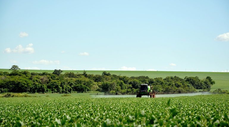 növényvédelmi megfigyelés eGN