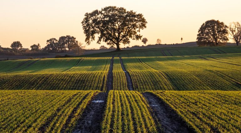 2026-os EK mikor indul?