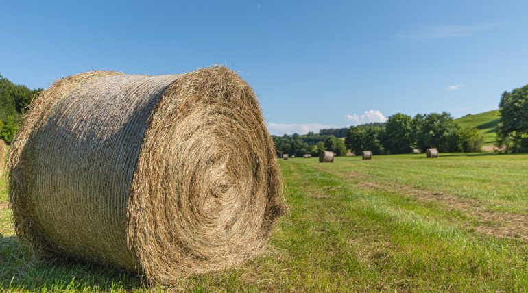 A Natura 2000 érzékeny gyepterületek átalakítása és felszántása még hatósági engedéllyel sem lehetséges. A HMKÁ9 előírásai és a 300 m2-es tolerancia.